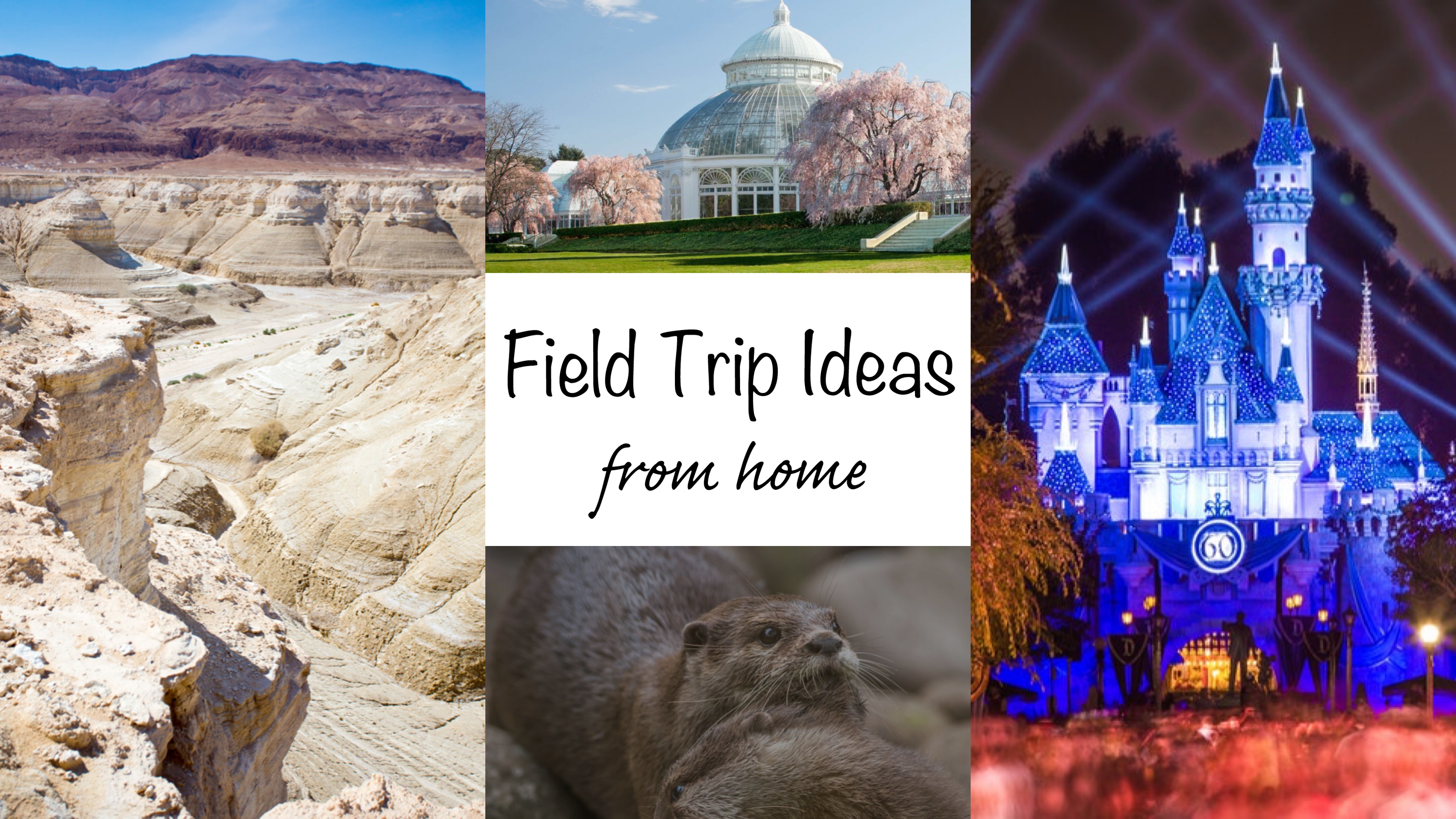 photography field trip ideas